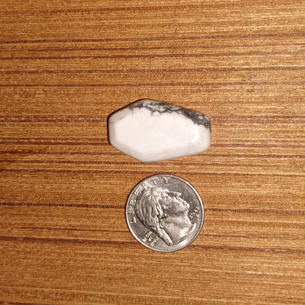 Howlite coffin